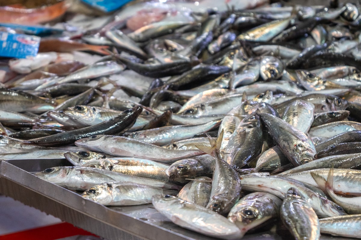 Etale de poissons frais au marché de Loulé