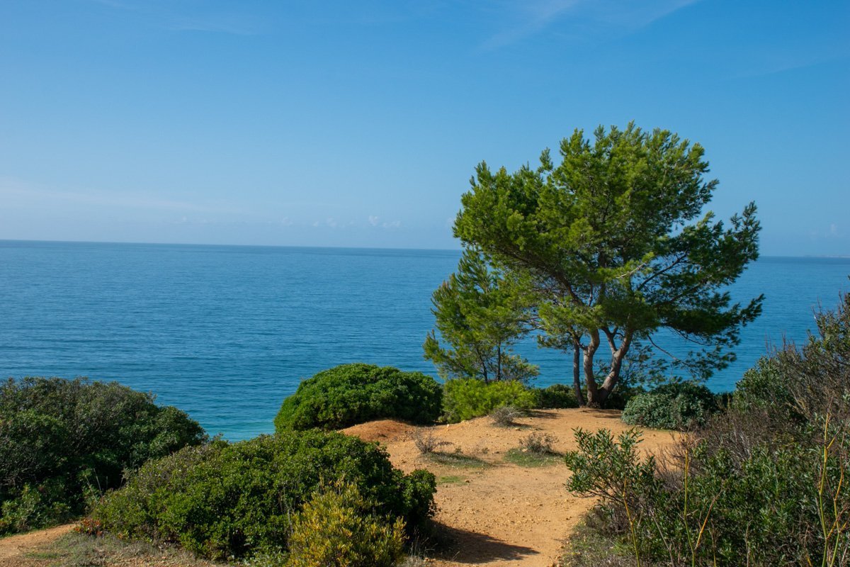 Vue du sentier balisé, Ponta da Piedade, Algarve